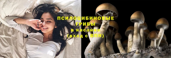экстази Киреевск