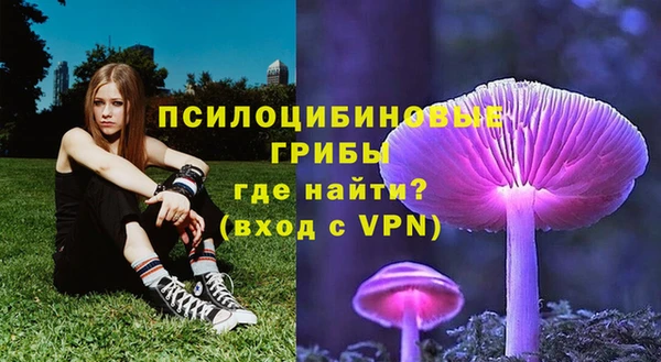 герыч Кинешма